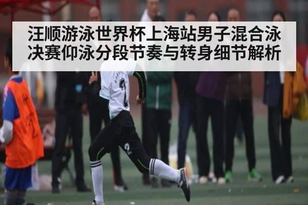 汪顺游泳世界杯上海站男子混合泳决赛仰泳分段节奏与转身细节解析